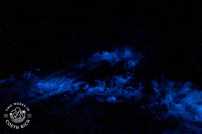 Bioluminescent kayak tour with Bahia Rica 